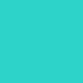 Vinyl &ndash; Removable (1.2m / 4 ft)