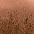 Premium Vinyl&trade; Textured Metallic
