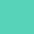 Smart Vinyl&trade; Matless Permanent Vinyl (3 ft), Mint